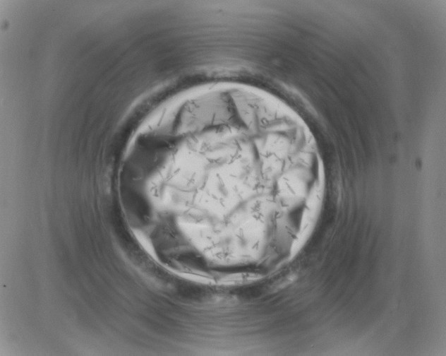 X0000082730543200702232350