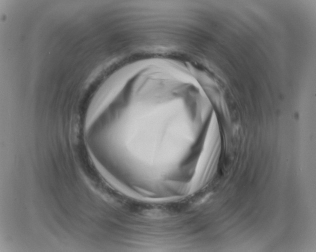 X0000082730544200702232350