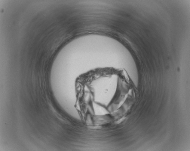 X0000082730546200702232350