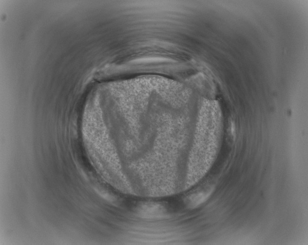 X0000082730547200702232350