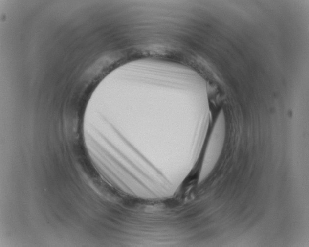 X0000082730548200702232350