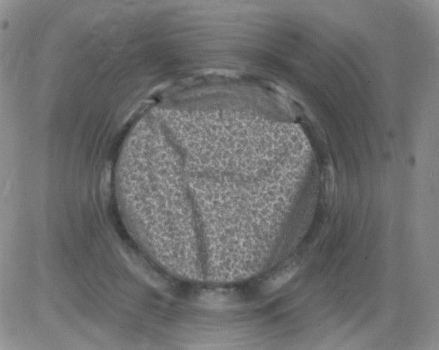 X0000082730550200702232350