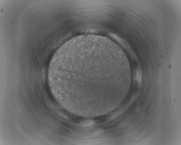 X0000082730551200702232350