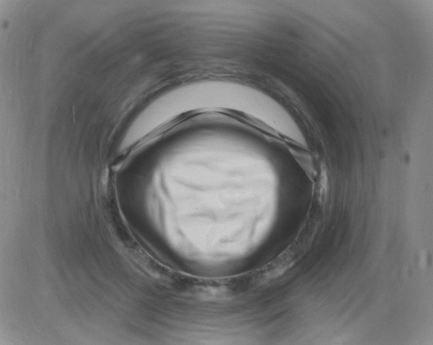 X0000082730552200702232350