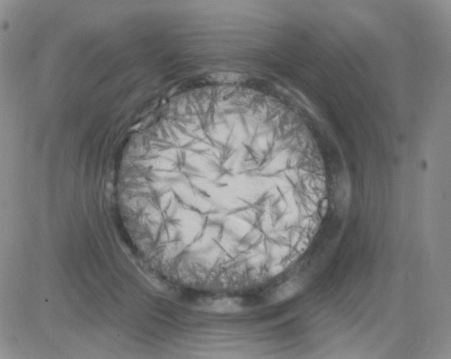 X0000082730553200702232350