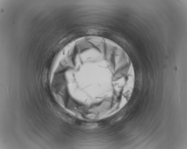 X0000082730554200702232350