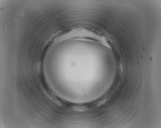 X0000082730556200702232350