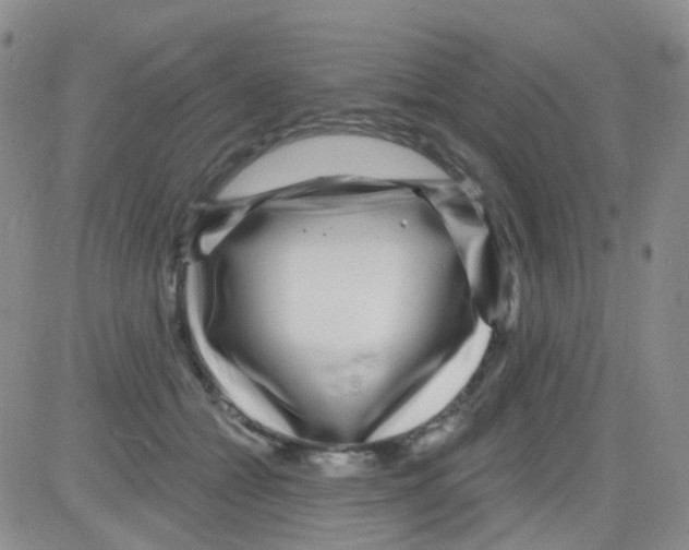 X0000082730558200702232350