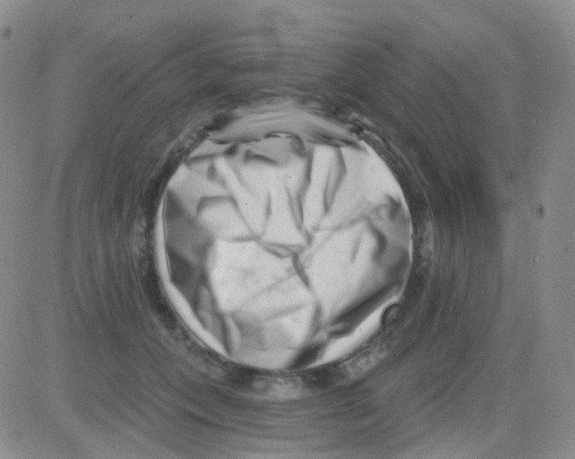 X0000082730559200702232350