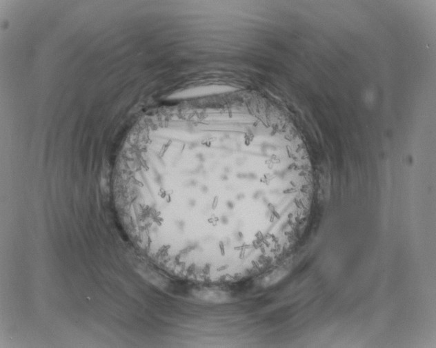 X0000082730561200702232350