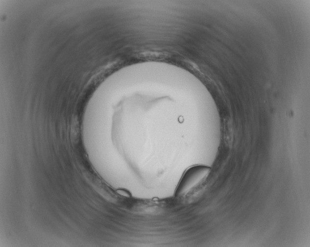 X0000082730563200702232350