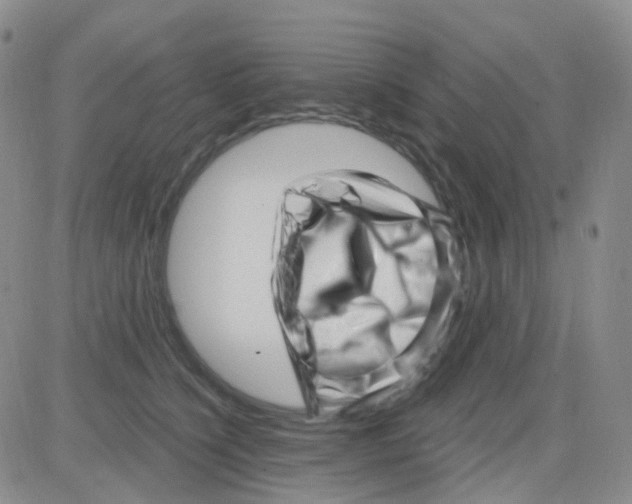 X0000082730564200702232350