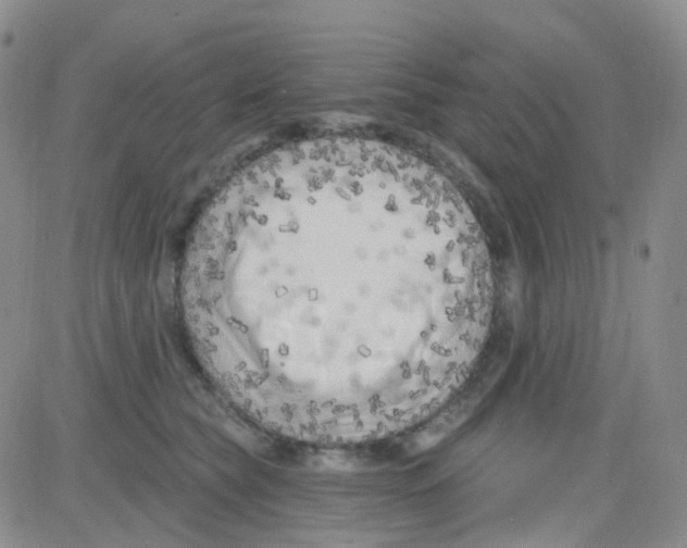 X0000082730565200702232350