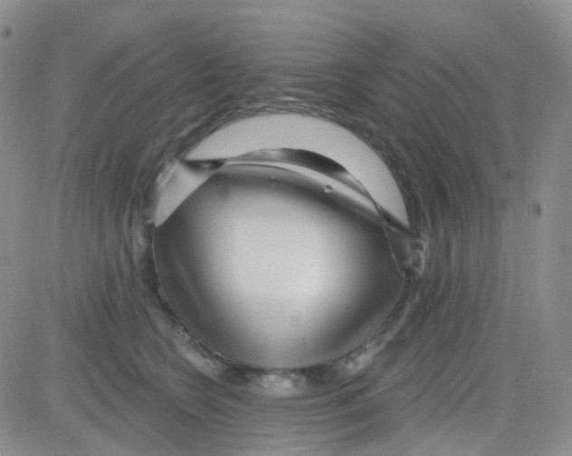 X0000082730566200702232350