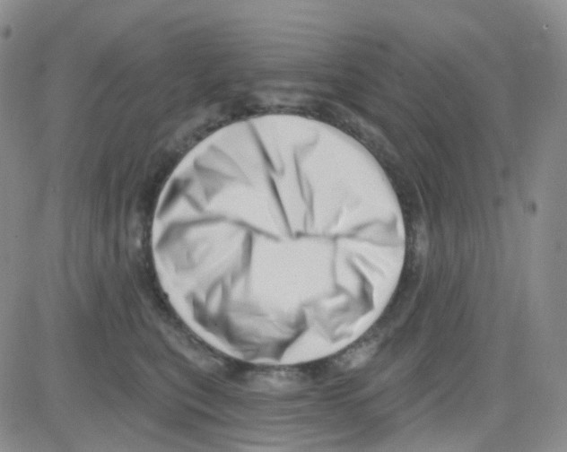 X0000082730567200702232350