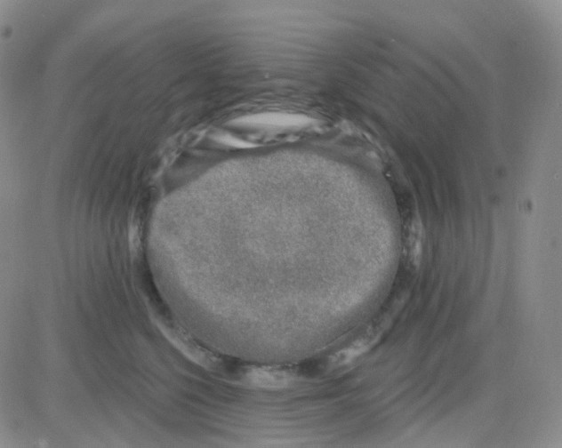 X0000082730568200702232350