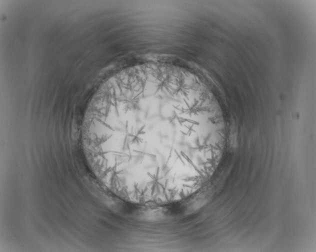 X0000082730569200702232350