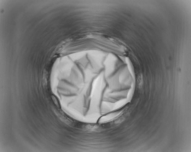 X0000082730570200702232350