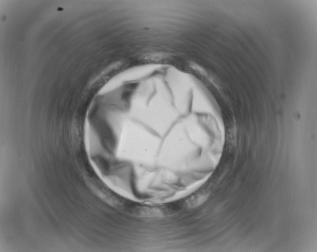 X0000082730572200702232350