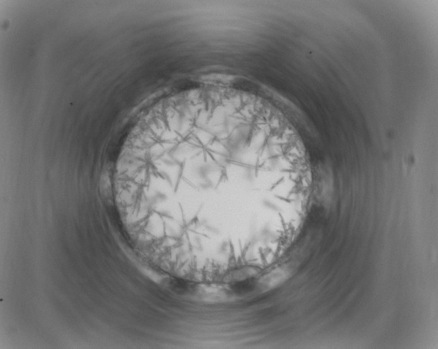 X0000082730573200702232350