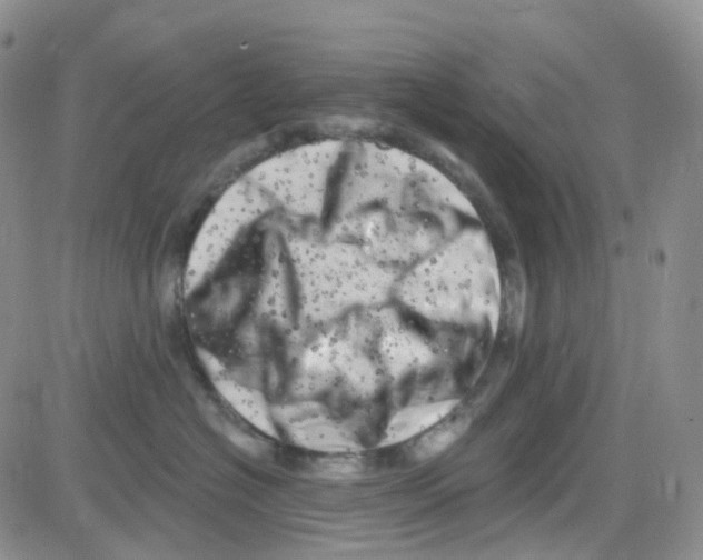 X0000082730574200702232350