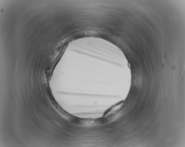 X0000082730575200702232350