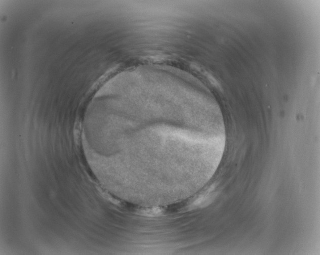 X0000082730576200702232350