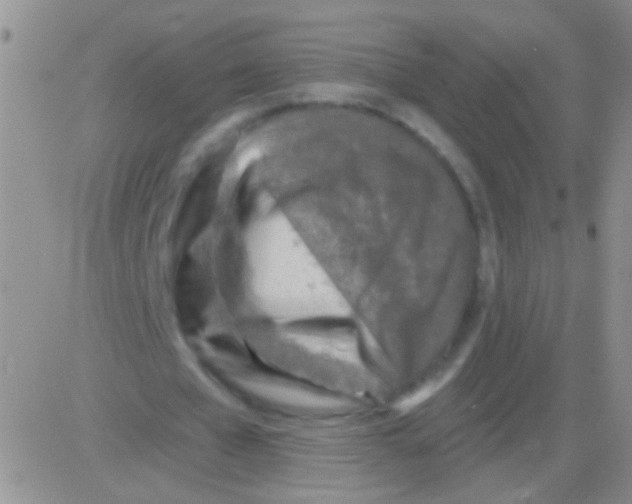 X0000082730577200702232349