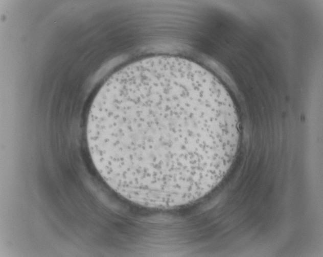 X0000082730578200702232349