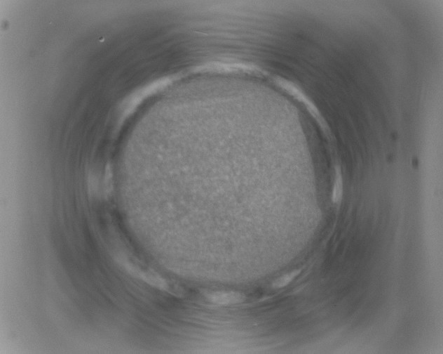 X0000082730579200702232349