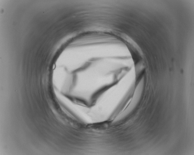 X0000082730580200702232349