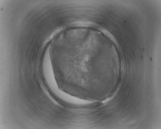 X0000082730581200702232349