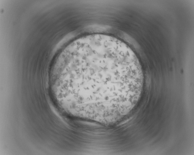 X0000082730582200702232349