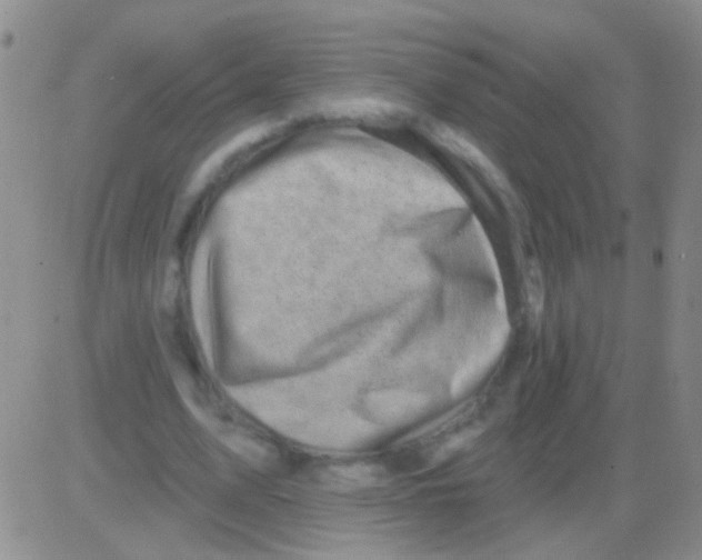 X0000082730583200702232349