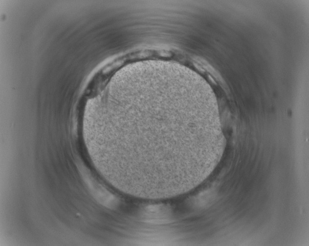 X0000082730584200702232349