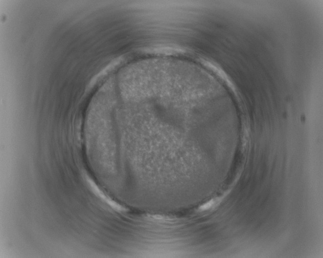 X0000082730585200702232349