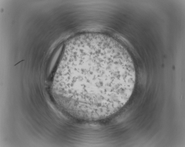 X0000082730586200702232349