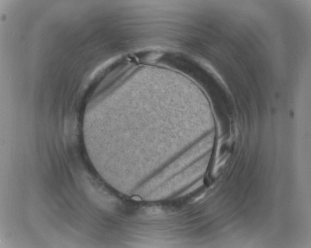 X0000082730588200702232349