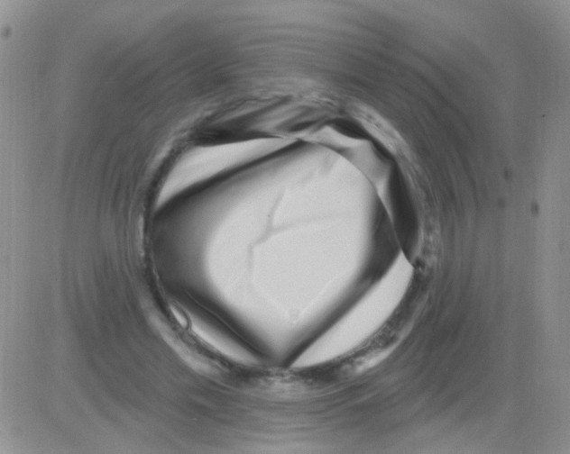 X0000082730589200702232349