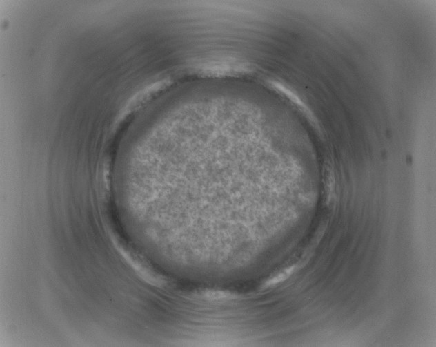 X0000082730590200702232349