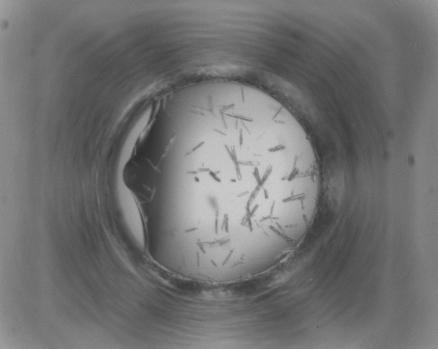 X0000082730591200702232349