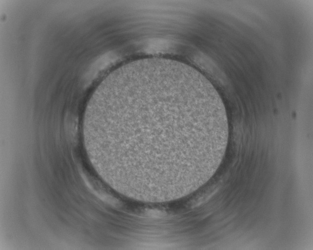 X0000082730592200702232349