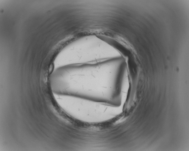 X0000082730593200702232349