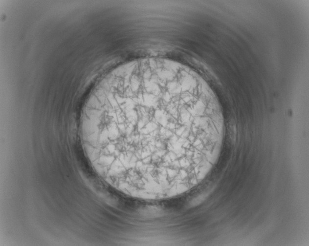 X0000082730594200702232349