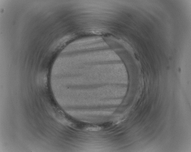 X0000082730595200702232349