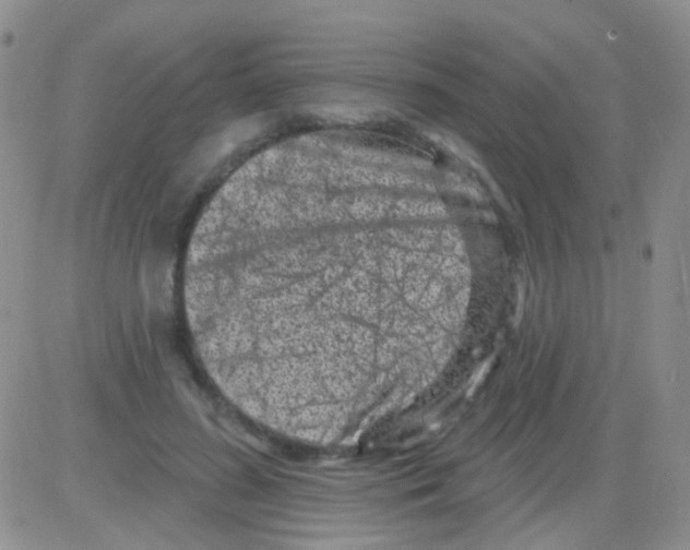 X0000082730596200702232349