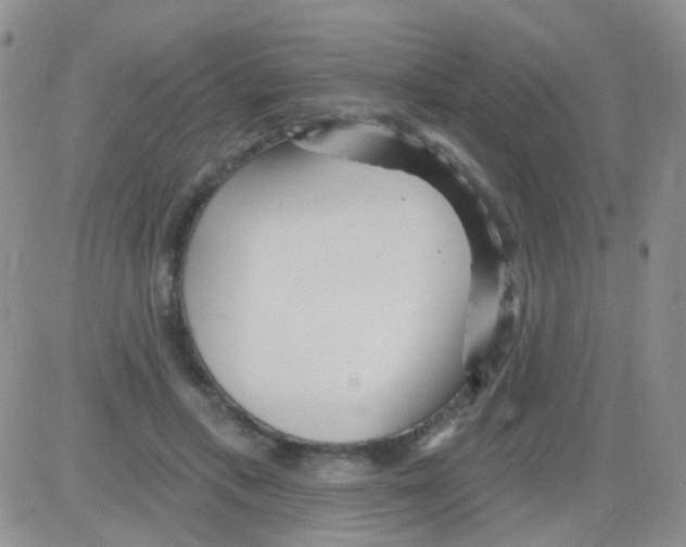 X0000082730597200702232349