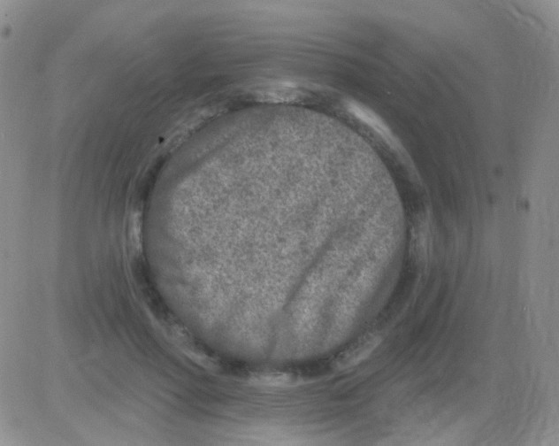 X0000082730598200702232349