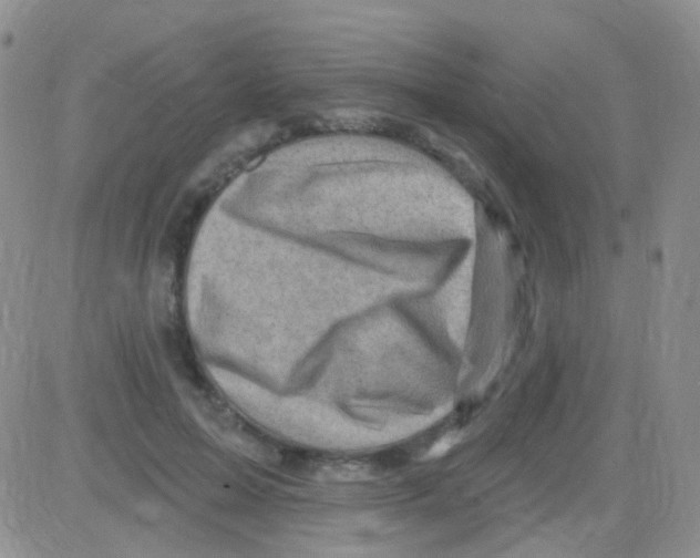 X0000082730599200702232349