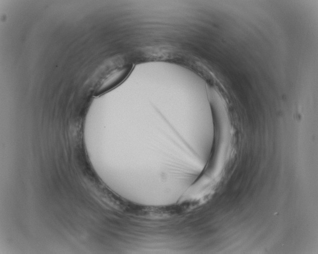 X0000082730601200702232349